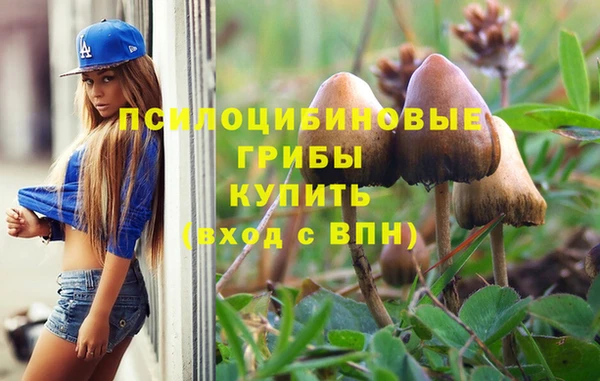 прущая мука Инсар