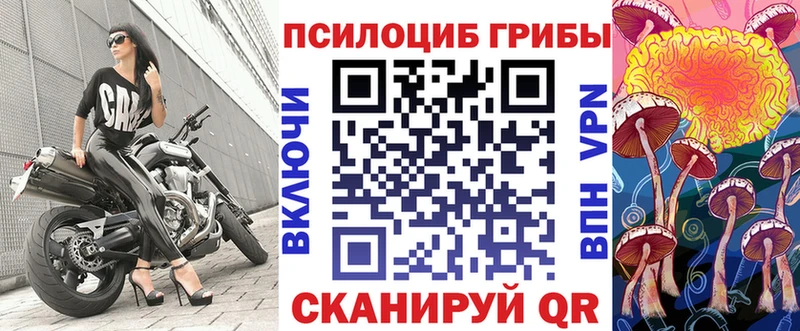 Псилоцибиновые грибы Psilocybe  Карабулак 